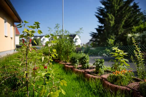 Pflanzen und Garten